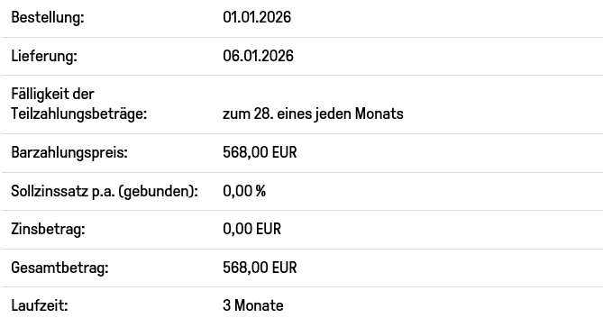 Ratenzahlung Beispiel updated 2026
