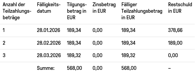 Ratenzahlung Beispiel updated 2026 weiterführend